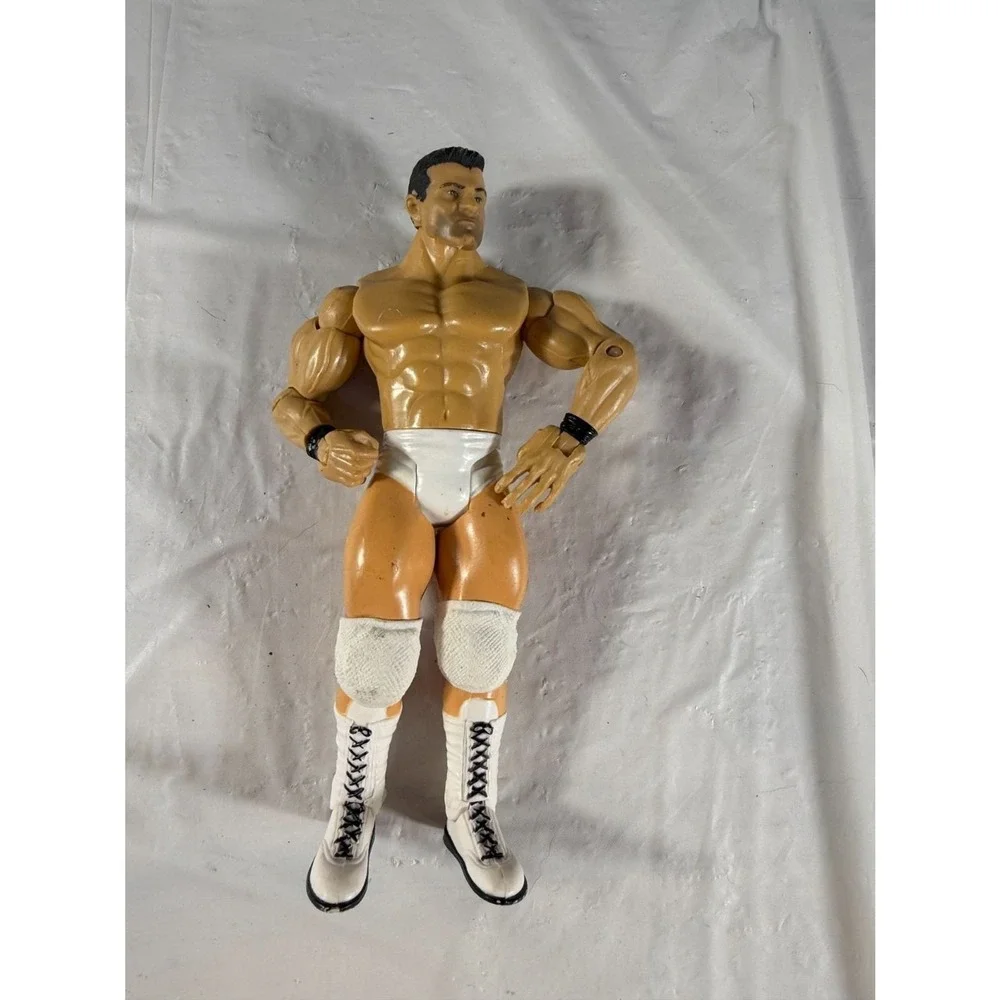 WWE Wrestling Action Figure Matt Stryker